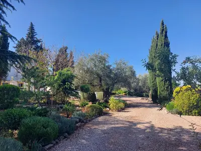 Jardín al aire libre en Finca Franca - Nudist Resort - Adults Only