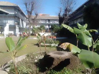 Jardín al aire libre en Corral Montelucía Siglo XVI