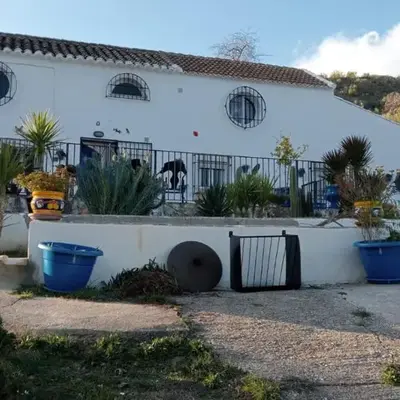 Finca Las Minas - Studio