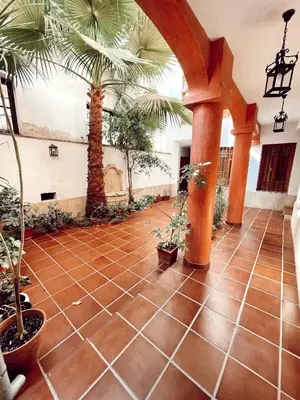 Plano de Apartamento Potro 1