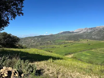 Paisaje cerca de esta casa o chalet