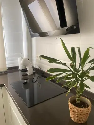 Una cocina o zona de cocina en Via Verde del Aceite