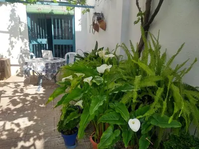 Jardín al aire libre en LA CASA AZUL -Mancha Real, Jaen, Úbeda, Baeza-