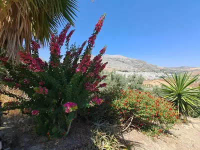 Paisaje cerca de esta villa