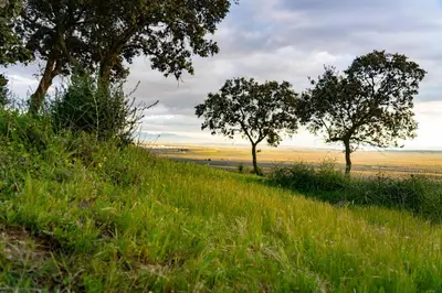 Paisaje cerca de este lodge