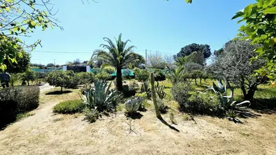 Jardín al aire libre en Casa rural Villa Moral