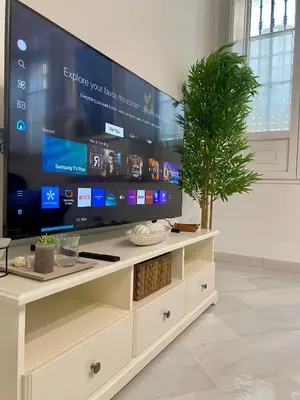 Una televisión o centro de entretenimiento en Santa Cruz - Luxurious City Center Boutique Apartment - FREE PARKING