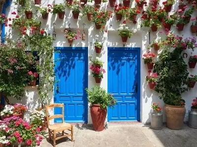 Jardín al aire libre en Premium! Los Jardines de Orive 2