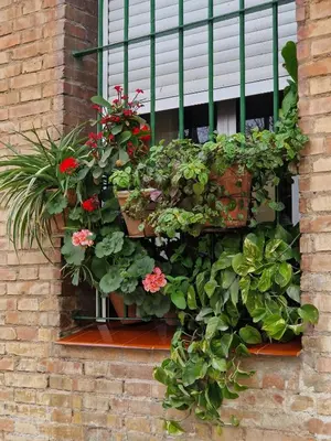Jardín al aire libre en Bright Apartment in Seville with Private Garden