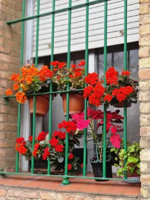 Jardín al aire libre en Bright Apartment in Seville with Private Garden