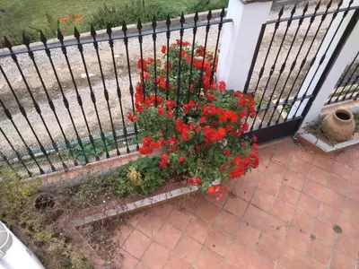 Jardín al aire libre en Casa Cipres