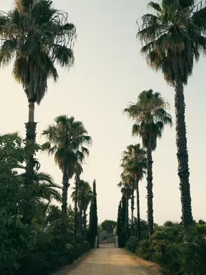 Paisaje cerca de esta villa