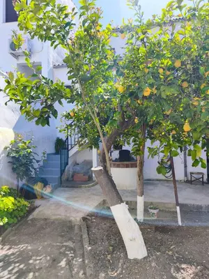 Jardín al aire libre en La Casa del Pozo