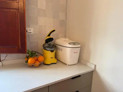 Una cocina o zona de cocina en Authentic Luxury Villa in Oasis with Pool close to Malaga