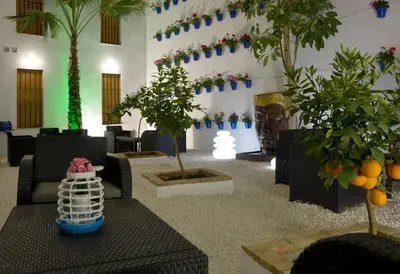 Zona de estar de CASA PATIO LAS PALMERAs 5 y 6