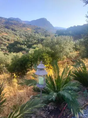 Paisaje cerca de este bed & breakfast