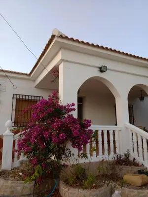 Edificio en el que se encuentra la casa o chalet