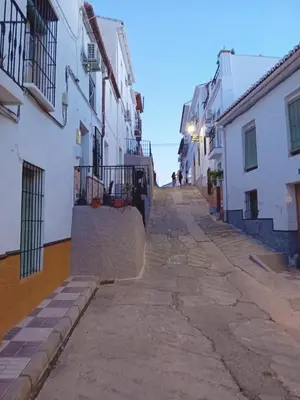 El barrio de los alrededores o un barrio cerca de este apartamento