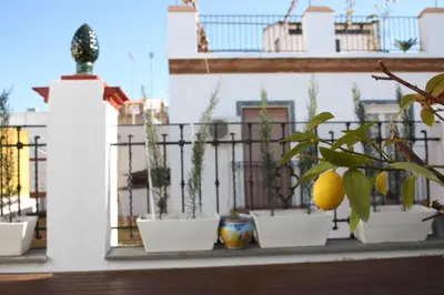 Un balcón o terraza de Selecta - Atico con terraza en la Alameda