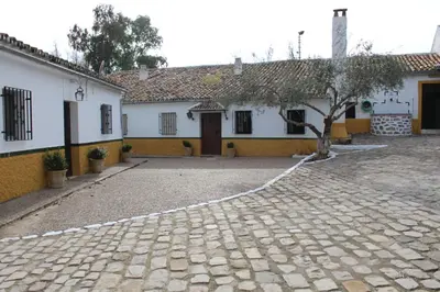 Edificio en el que se encuentra la casa o chalet