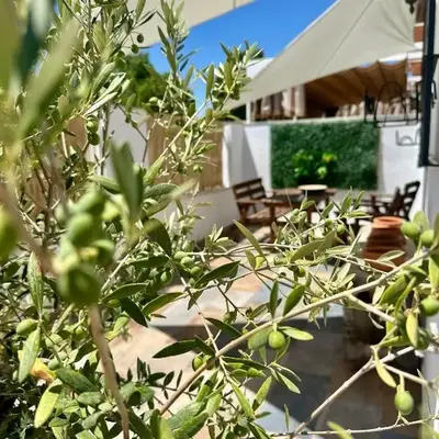 Casita del Olivo