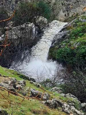 Paisaje cerca of this country house