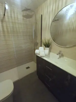 Un baño de Alojamientos RAICES DEL SUR
