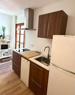 Una cocina o zona de cocina en Apartamentos Puerta de Sefarad