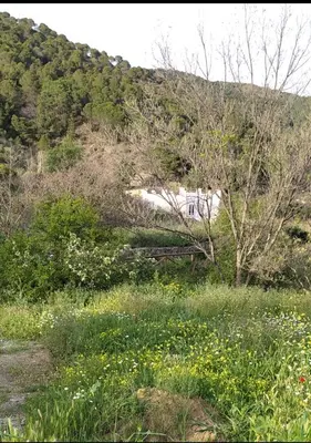 Paisaje cerca de esta casa o chalet