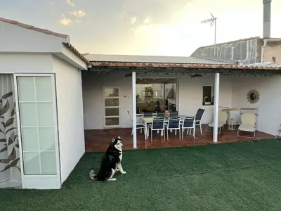 Mascotas con sus dueños en Casa Jardin Las Eras De Campotejar