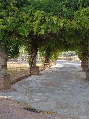 Plano de Casa Andalucía