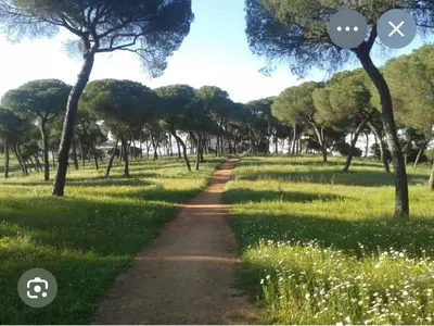 Paisaje cerca de este apartamento