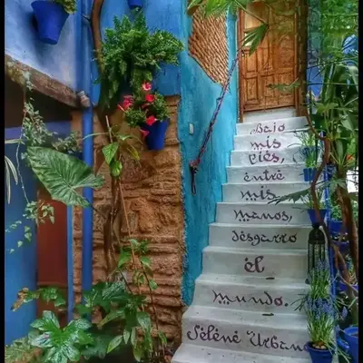 El patio azul Bohemio Mágico