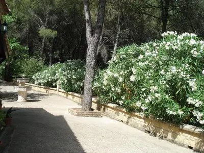 Jardín al aire libre en Casa en la sierra a 15 minutos de Cordoba