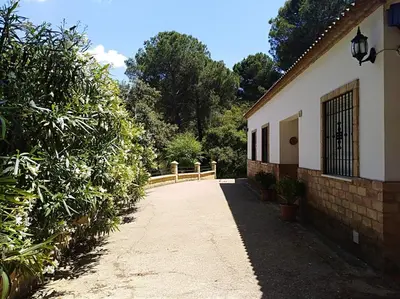 Edificio en el que se encuentra la casa o chalet