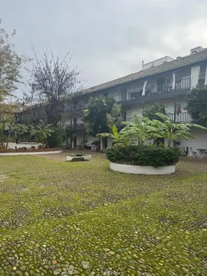 Jardín al aire libre en Patio del Conde