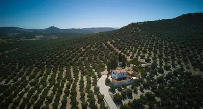 Paisaje cerca de esta casa o chalet