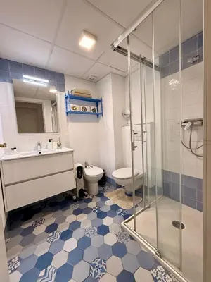 Un baño de Apartamento con vistas a la Alcazaba