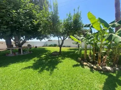 Jardín al aire libre en Chalet Villa Rossmar