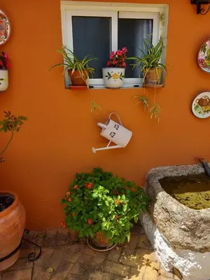 Jardín al aire libre en Chalet Villa Rossmar