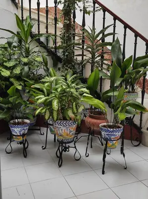 Jardín al aire libre en Mesones Casa Rural