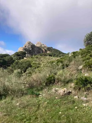 Paisaje cerca de este hostal o pensión