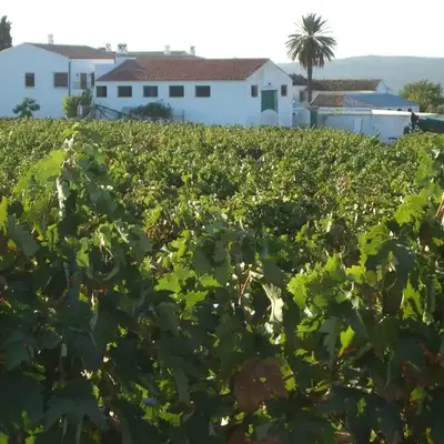 Traditional Andalusian Farmhouse