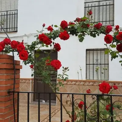 Villa Campanilla