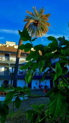 Jardín al aire libre en Andalusian Courtyard
