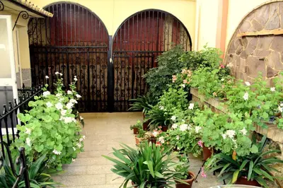 Jardín al aire libre en Maximiano Herculeo