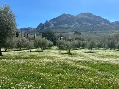 Paisaje cerca of this country house