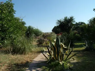 Jardín al aire libre en La Finca Blanca