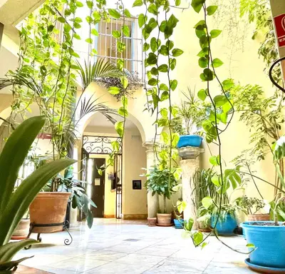 Jardín al aire libre en Hotel Conde de Cárdenas