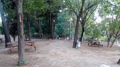 Paisaje cerca de este hotel
